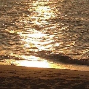 Meet your Posher, Janet